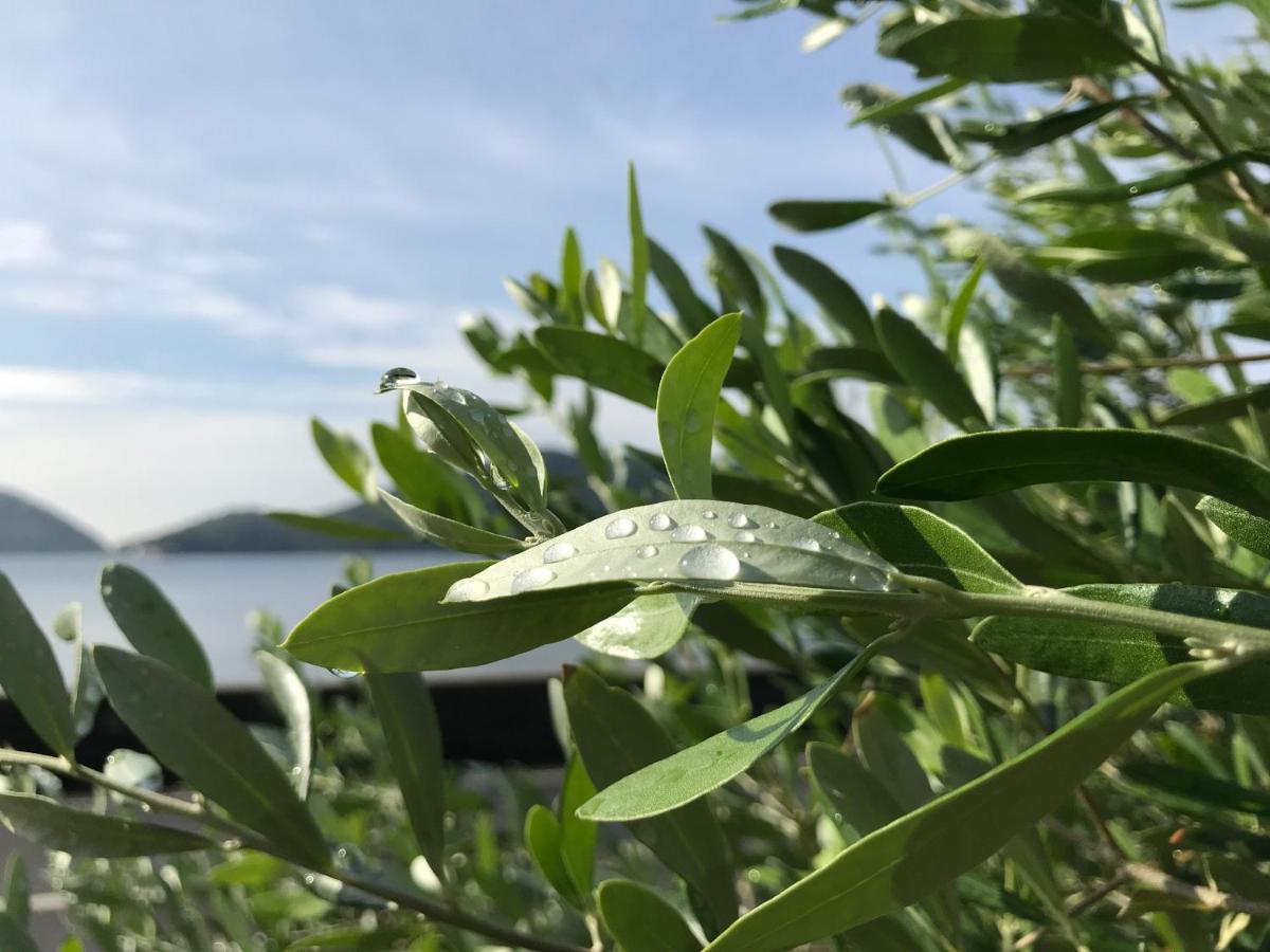 Shodoshima Olive Youth Hostel Exterior photo